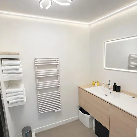 De Luxe Avec Piscine Et Terrasse Appartement Lattes